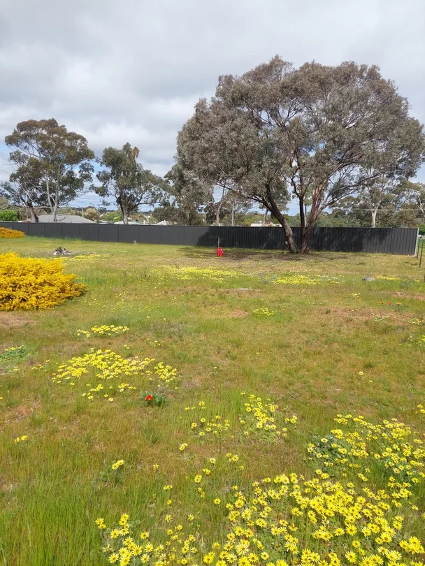 Lot 2/75 Southey Street, Inglewood VIC 3517