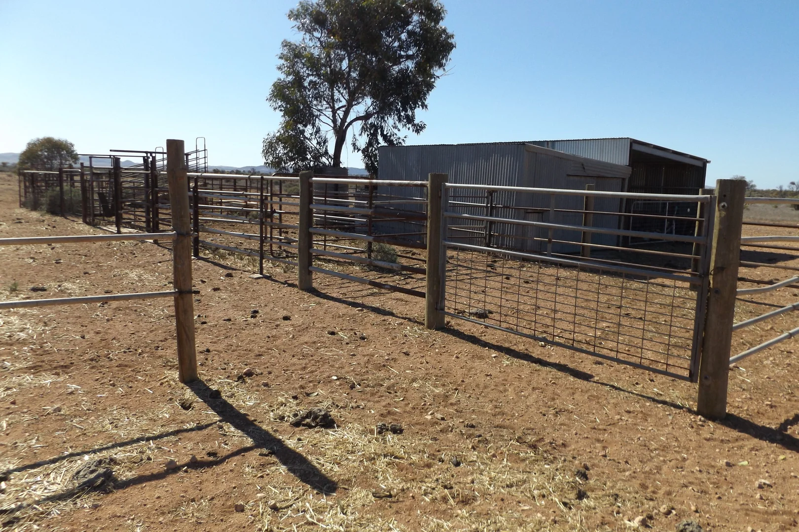 Additional image 8 of Minburra/Lynch Road, Minburra SA 5431