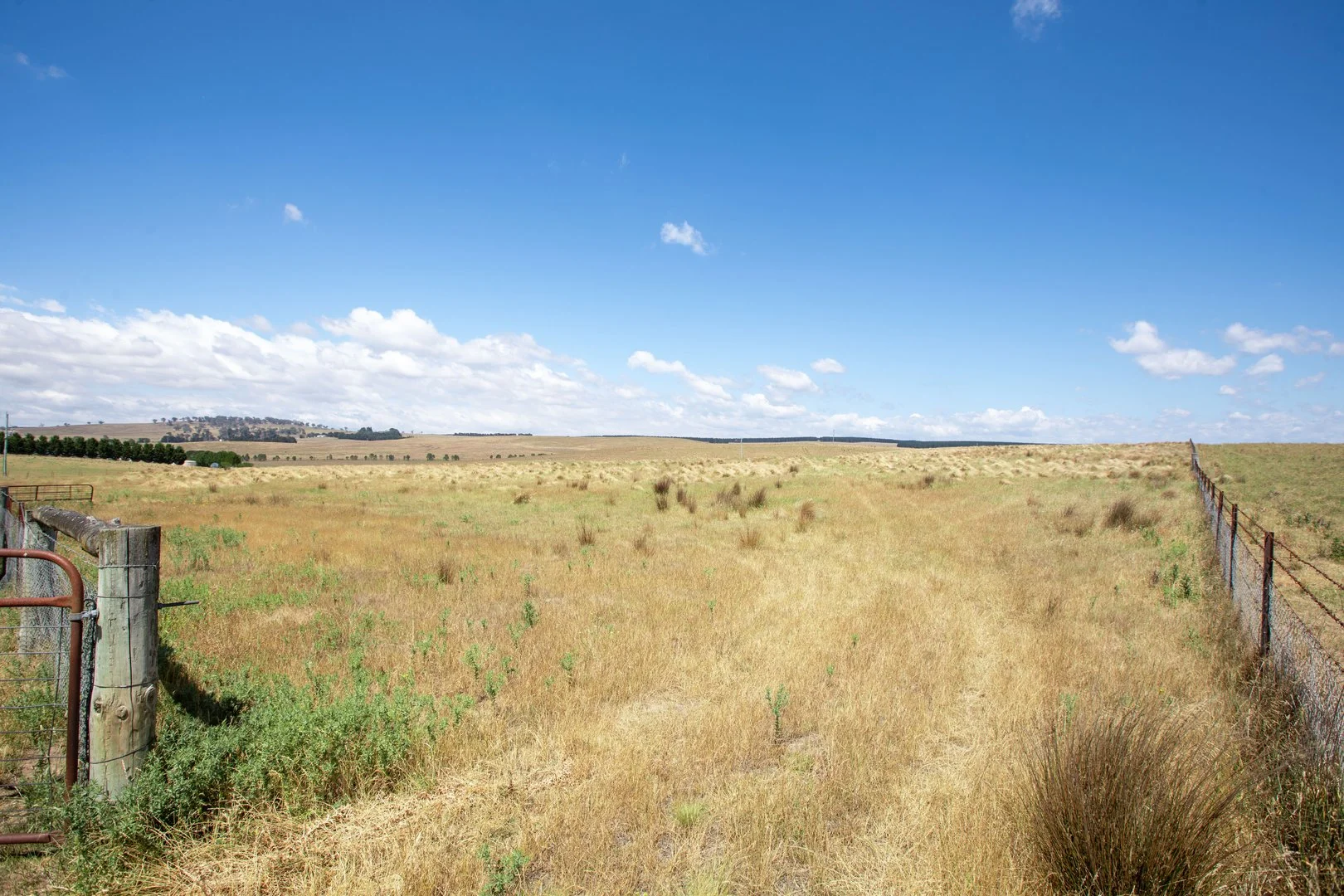 Additional image 13 of 77 Aerodrome Road, Bombala NSW 2632
