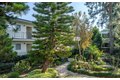 Additional image 68 of 488 W Duarte Rd, Arcadia, CA, 91007