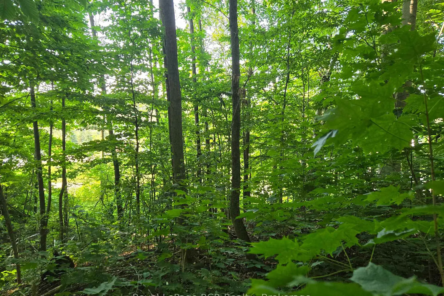 Additional image 8 of 126 Old Highway 26 Highway