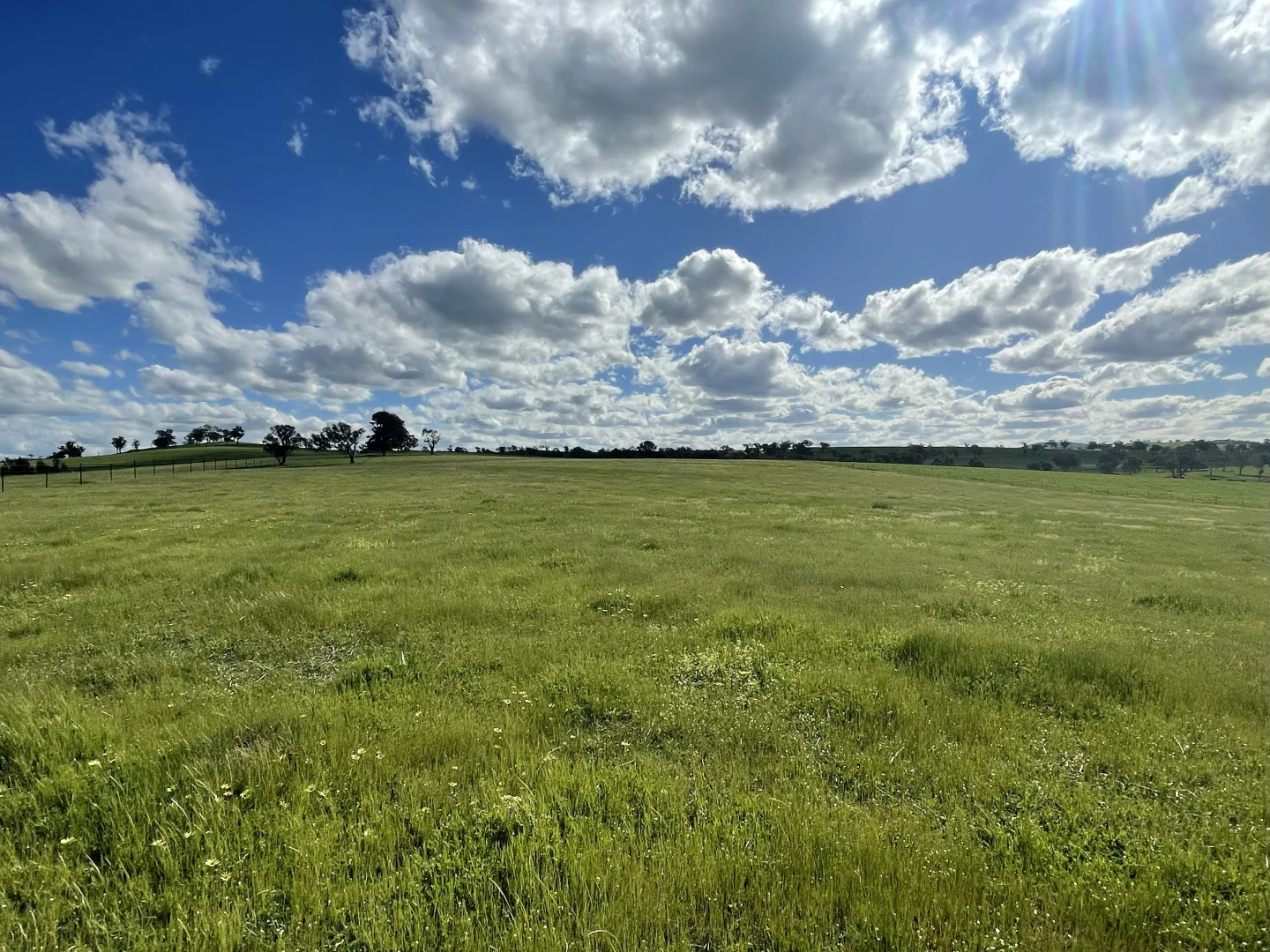 Additional image 2 of Lot Lot 4-5/3 Cooney's Creek Road, Jugiong NSW 2726