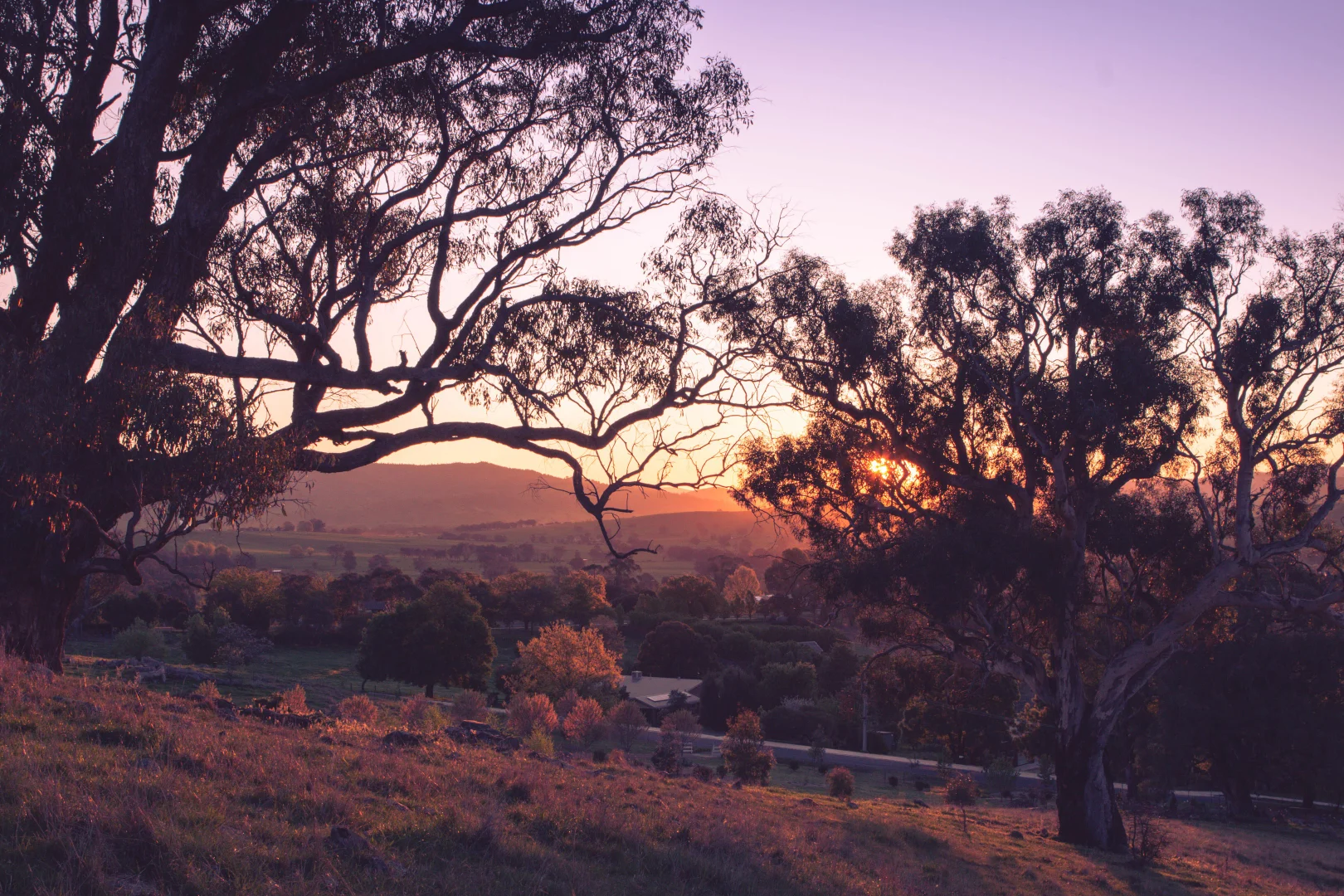 Additional image 8 of 25 Jephcott Avenue, Corryong VIC 3707