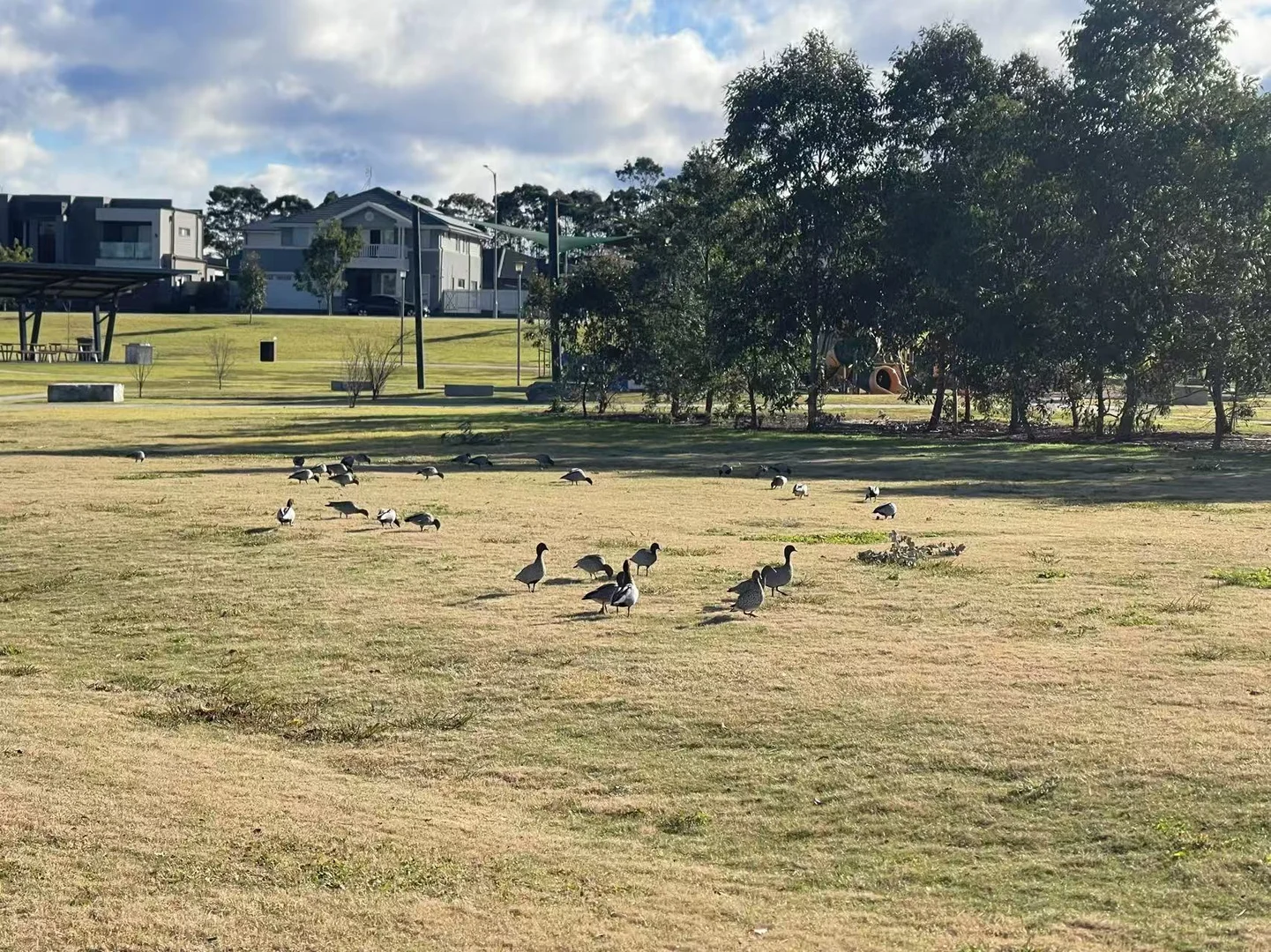 Additional image 6 of Lot 1/215 Macarthur Rd, Spring Farm NSW 2570