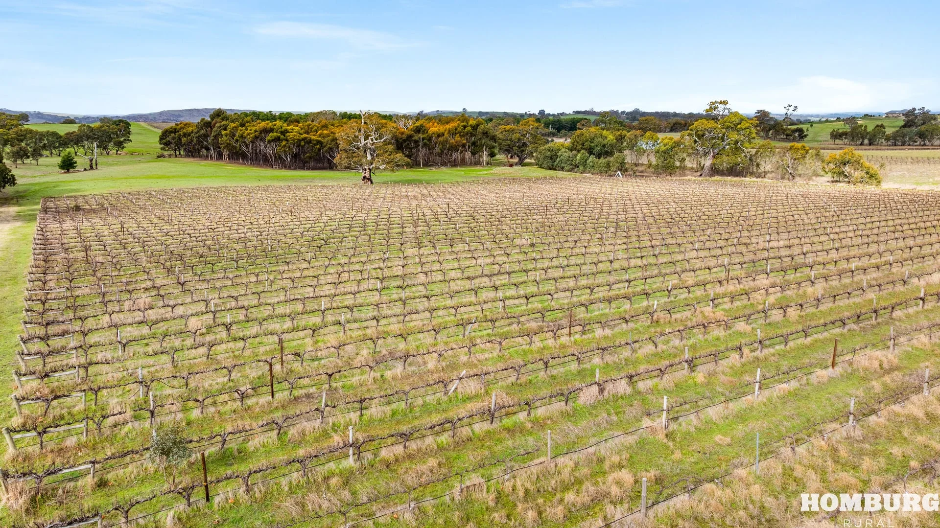 Additional image 11 of Lot/3 Keyneton Road, Eden Valley SA 5235