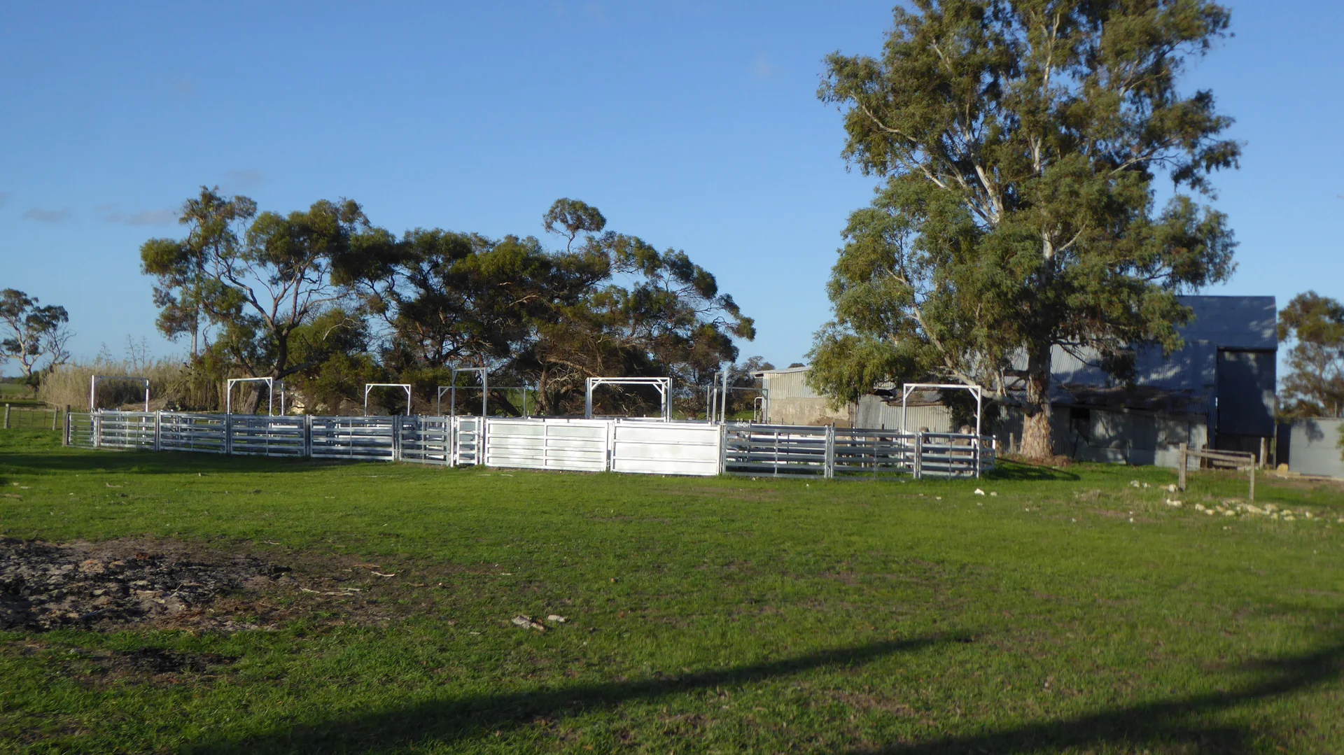 Additional image 26 of "Jacks" Sec 7 Schultz Road, Tintinara SA 5266