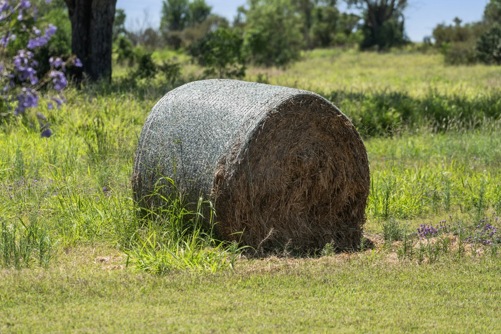 Additional image 22 of 833 Irongate Road, Pittsworth QLD 4356