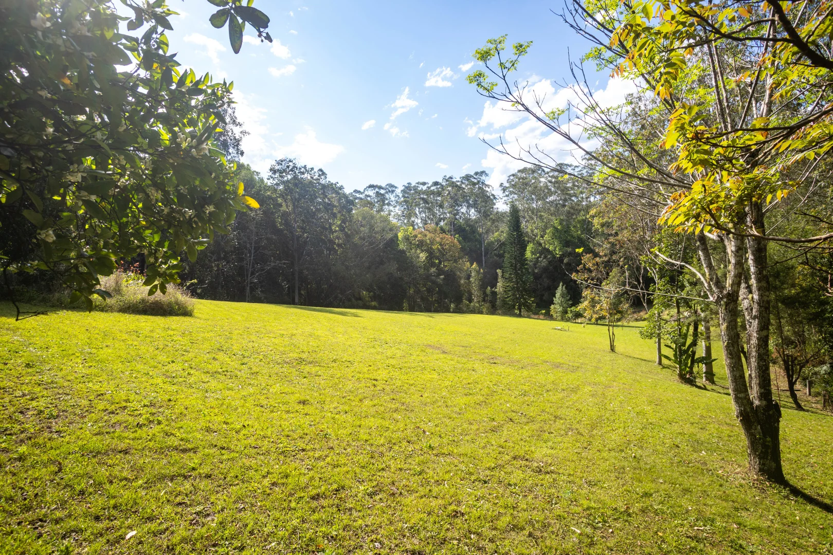 Additional image 23 of 56 Sunset Ridge Drive, Bellingen NSW 2454