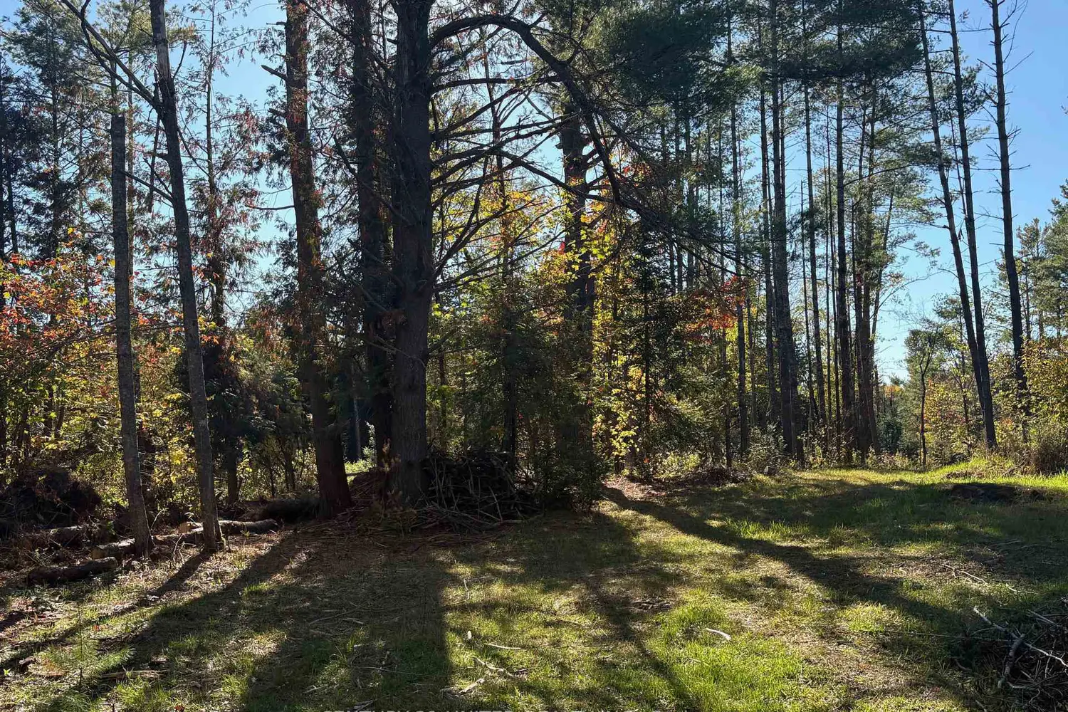 Additional image 5 of N/A Twin Sister Lakes Road