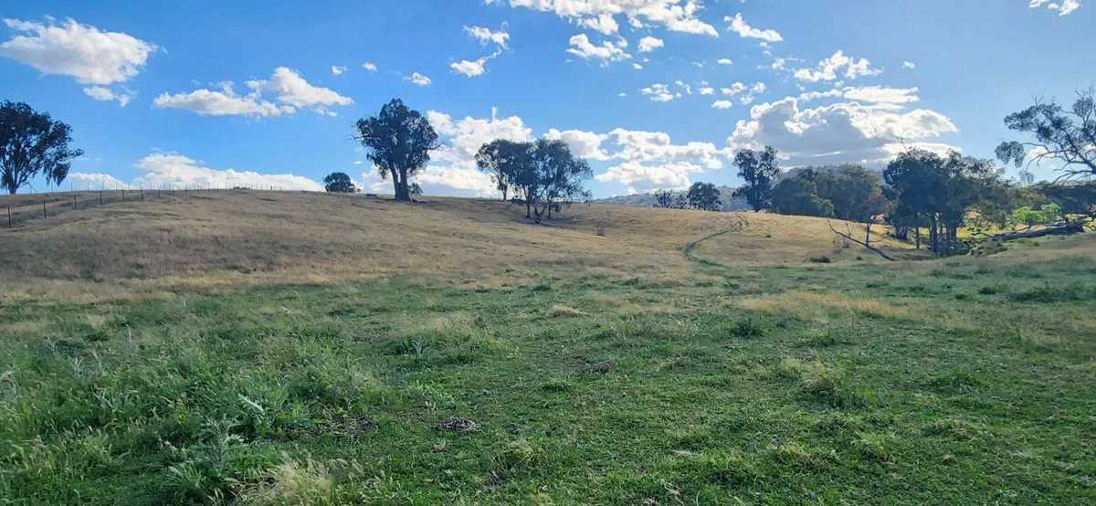 Additional image 9 of 3641 Frogmore Road, Hovells Creek NSW 2794