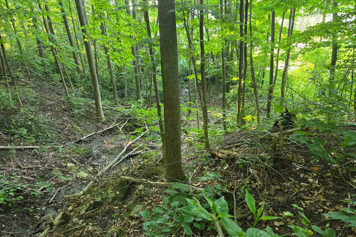 Additional image 5 of 126 Old Highway 26 Highway