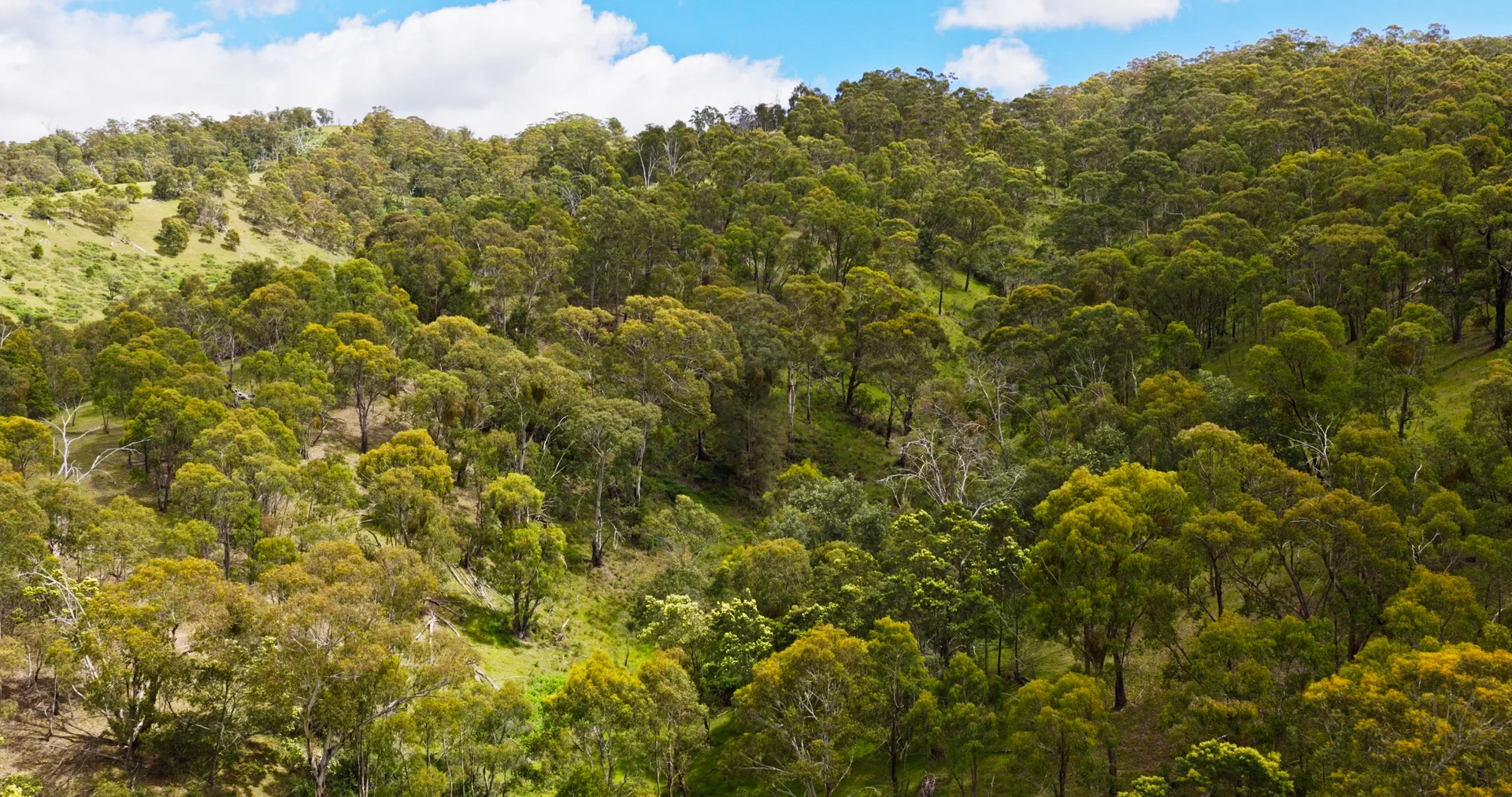 Additional image 12 of Lot 3 - 289 Tongio Gap Road, Tongio VIC 3896