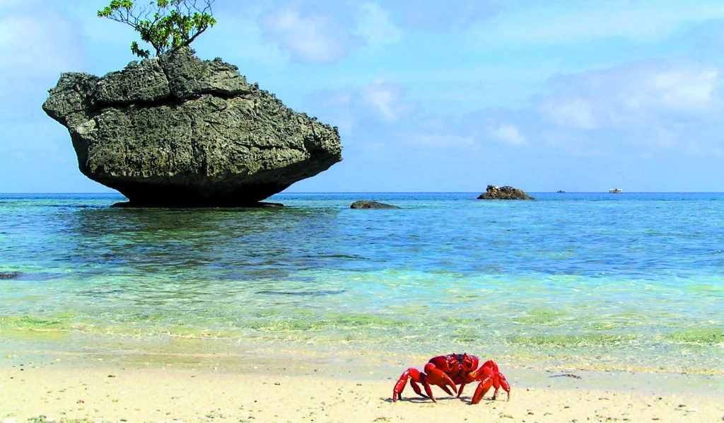 Additional image 6 of 2 Plant Hill Road, Christmas Island WA 6798