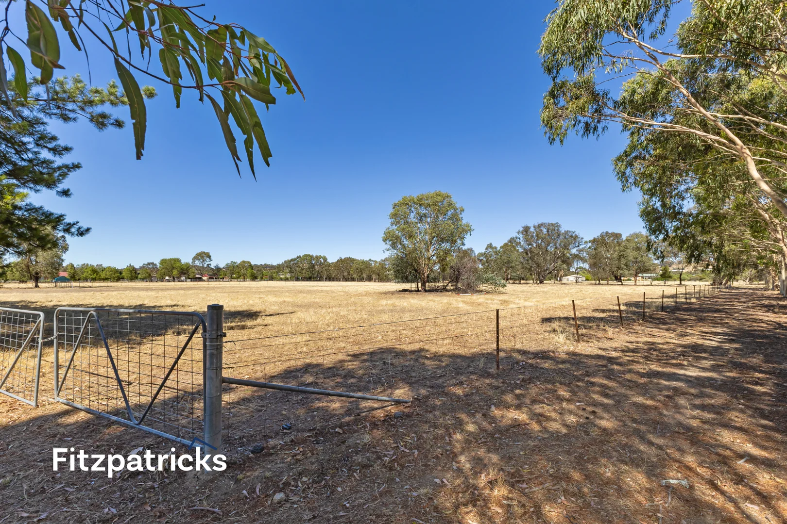 Additional image 33 of 4 Hickory Place, Springvale NSW 2650