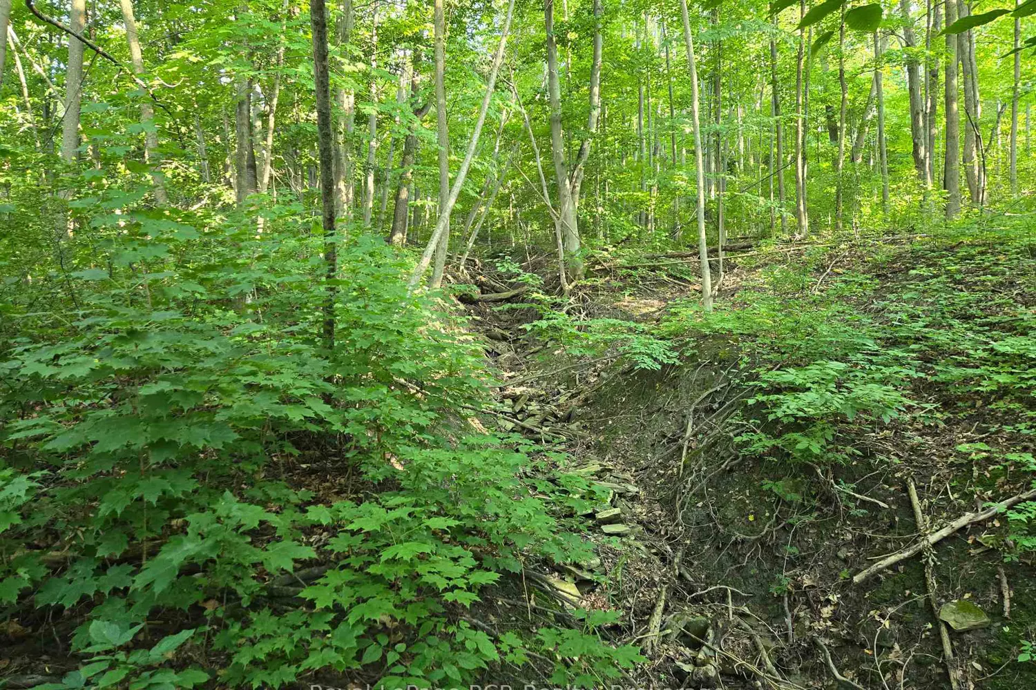 Additional image 4 of 126 Old Highway 26 Highway