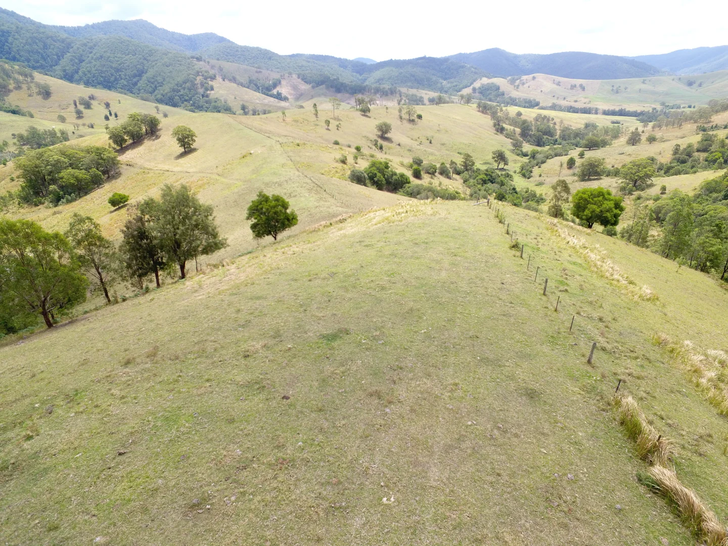 Additional image 3 of 343 Berrico Creek Road, Gloucester NSW 2422