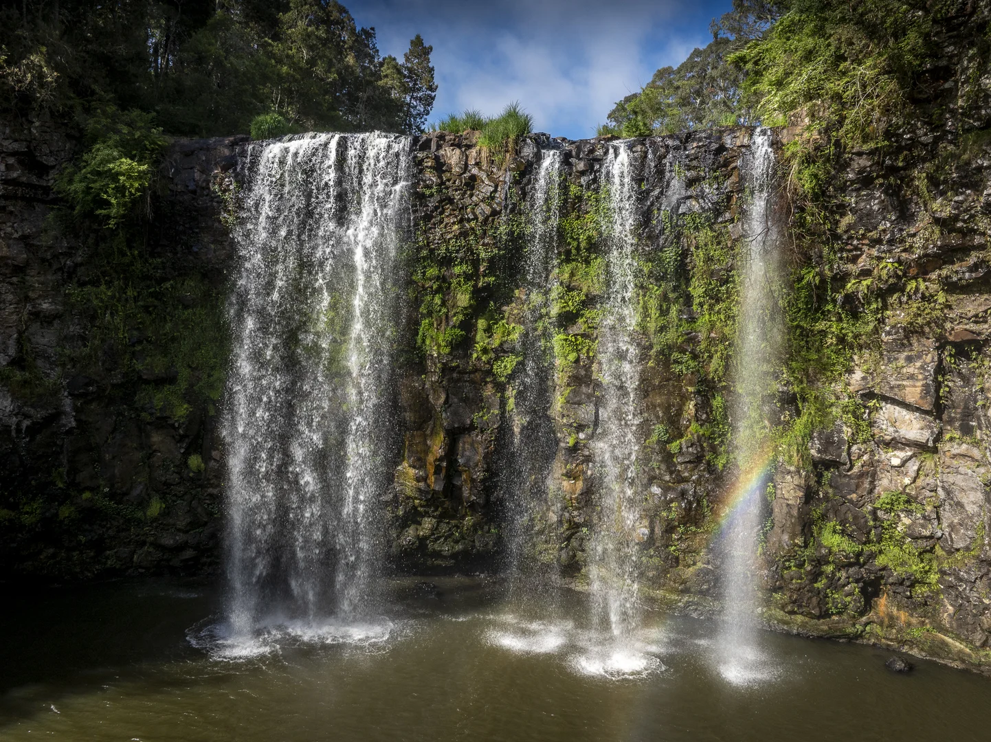 Additional image 19 of 294 Coramba Road, Dorrigo NSW 2453