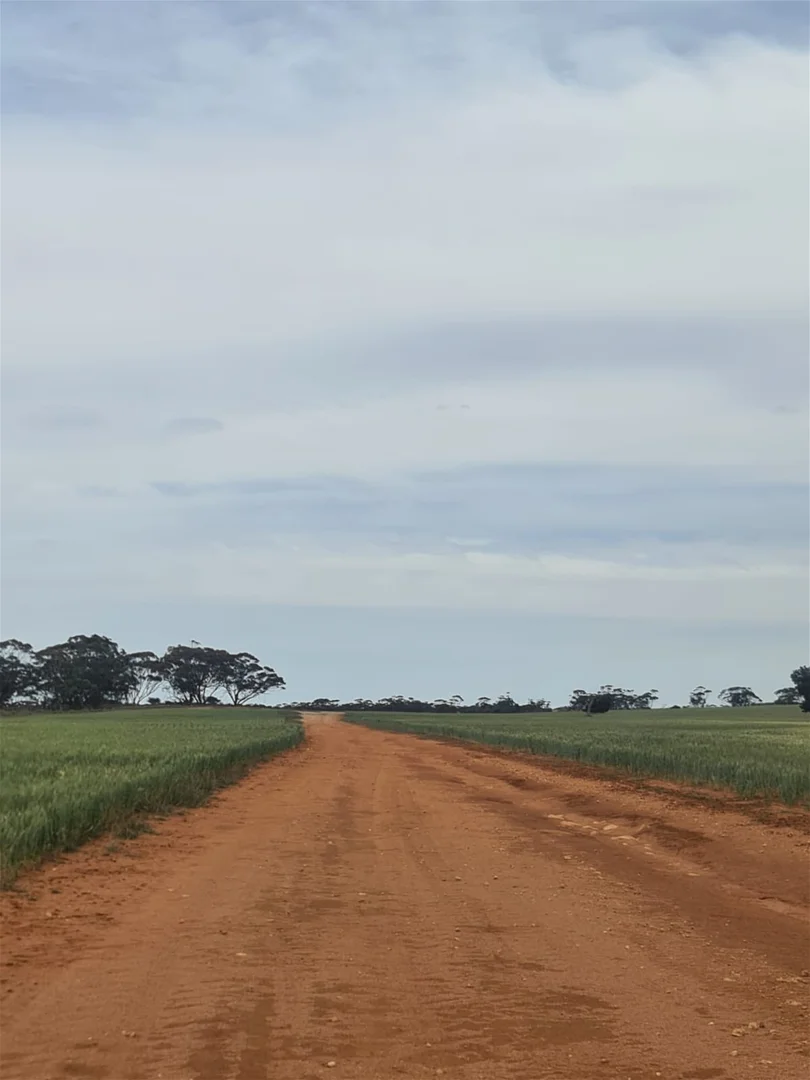 Additional image 2 of Wunkar SA 5311