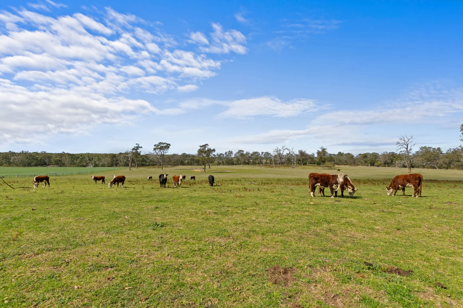 Additional image 13 of Stradbroke VIC 3851