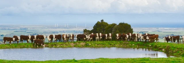 Additional image 2 of 65 McDowell Road, Ryanston VIC 3992