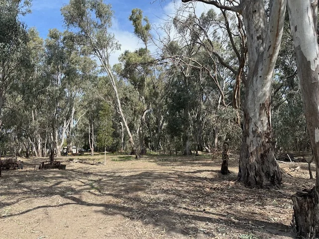 Additional image 15 of 456 RIVER ROAD, Gonn Crossing VIC 3579
