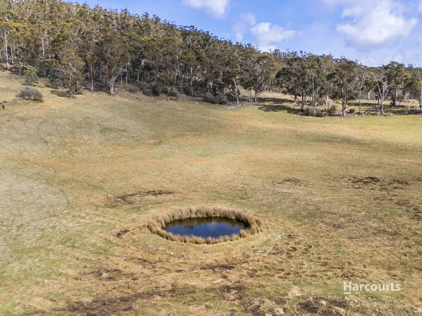 Additional image 21 of Lot 1/4115 Tasman Highway, Runnymede TAS 7190