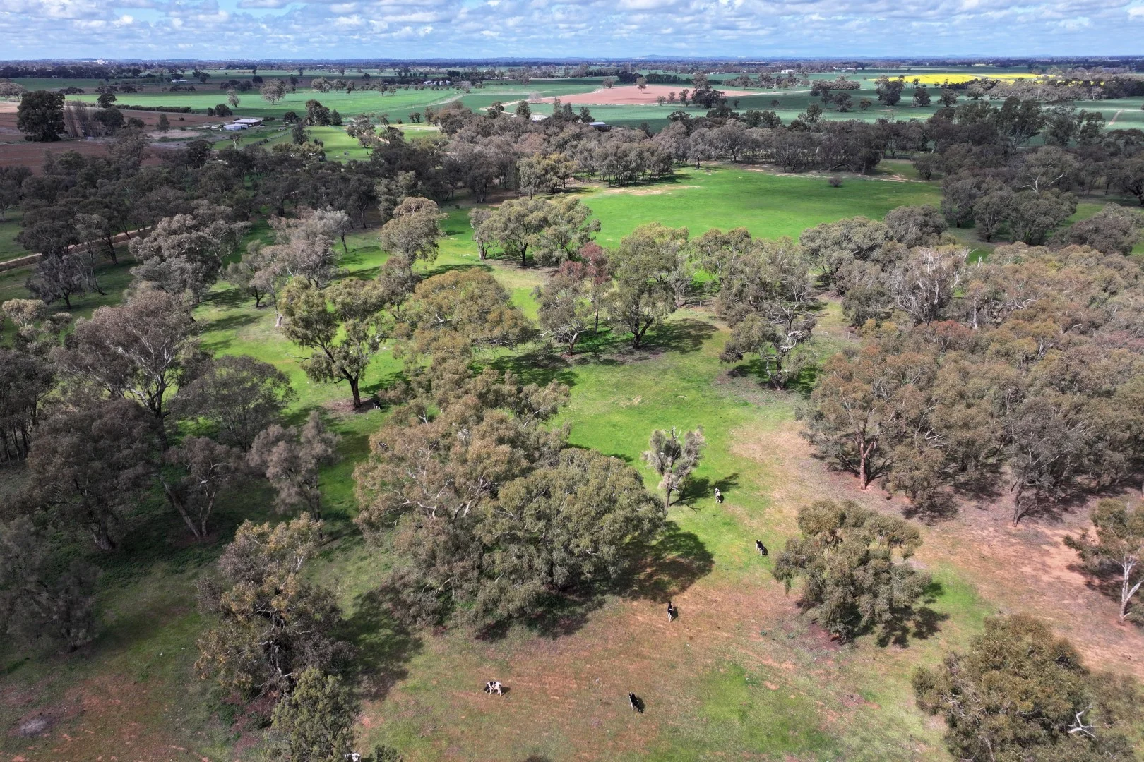 Additional image 7 of 516 O'Donnell Road, Rochester VIC 3561