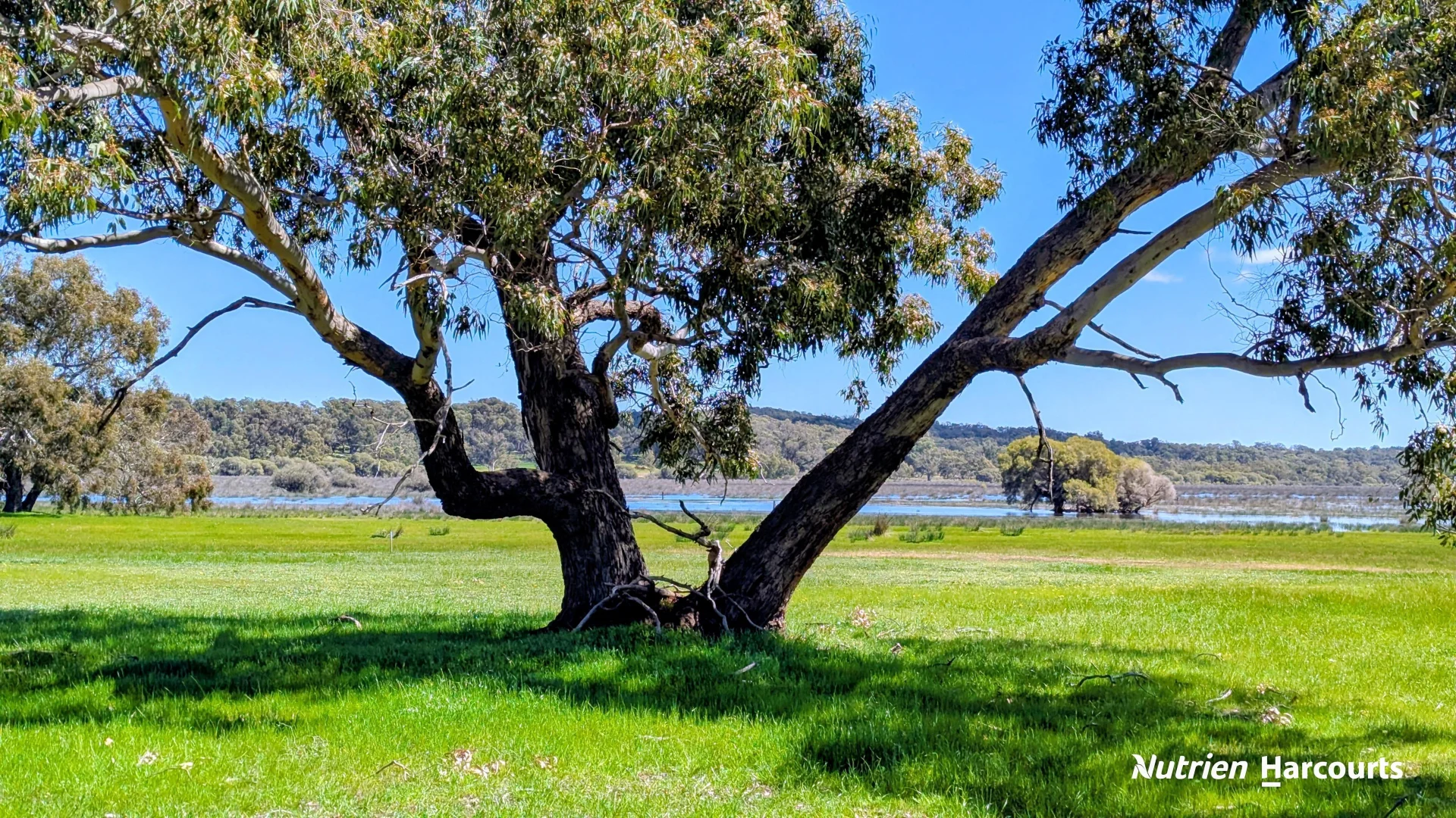 Additional image 15 of Lot 53 Cowalla Road, Cowalla WA 6503