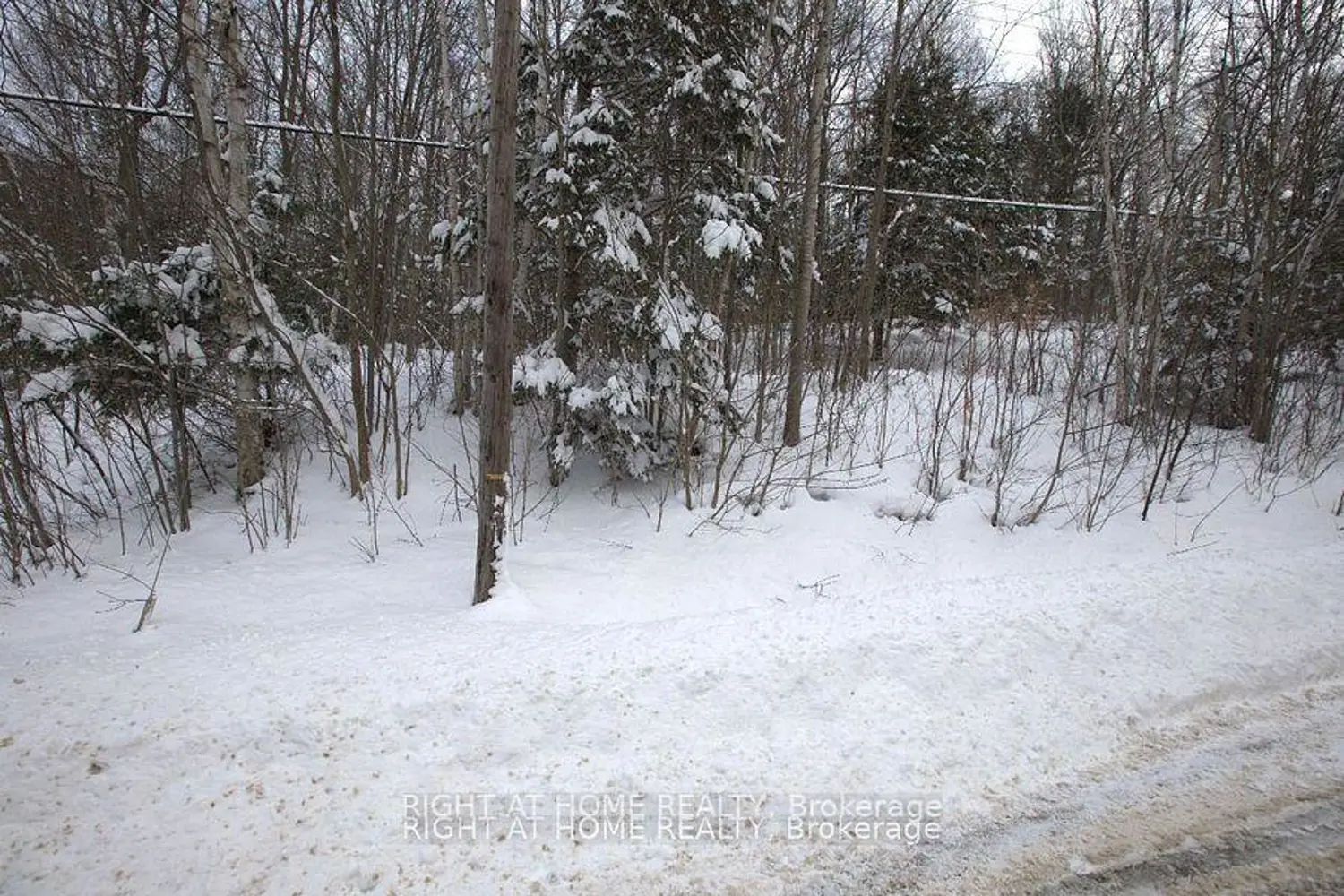 Additional image 7 of 22382 Highway 35 Highway