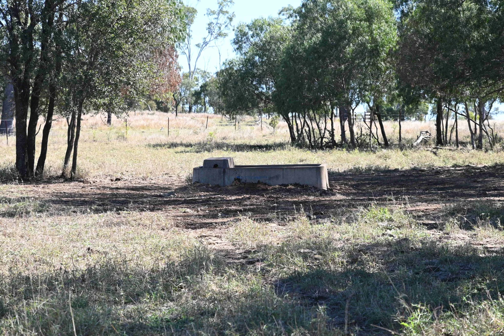 Additional image 27 of 102 Lowestoff Road, Capella QLD 4723