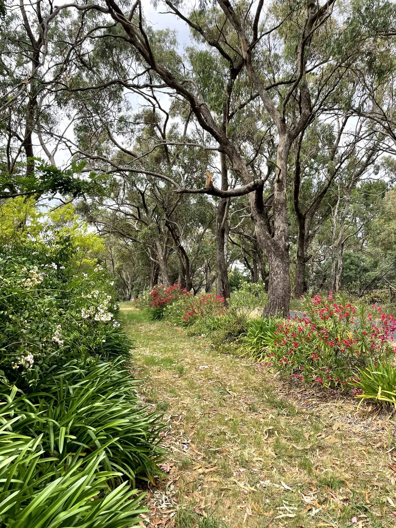 Additional image 37 of "Abbyville" 90 Convent Lane, Borenore NSW 2800