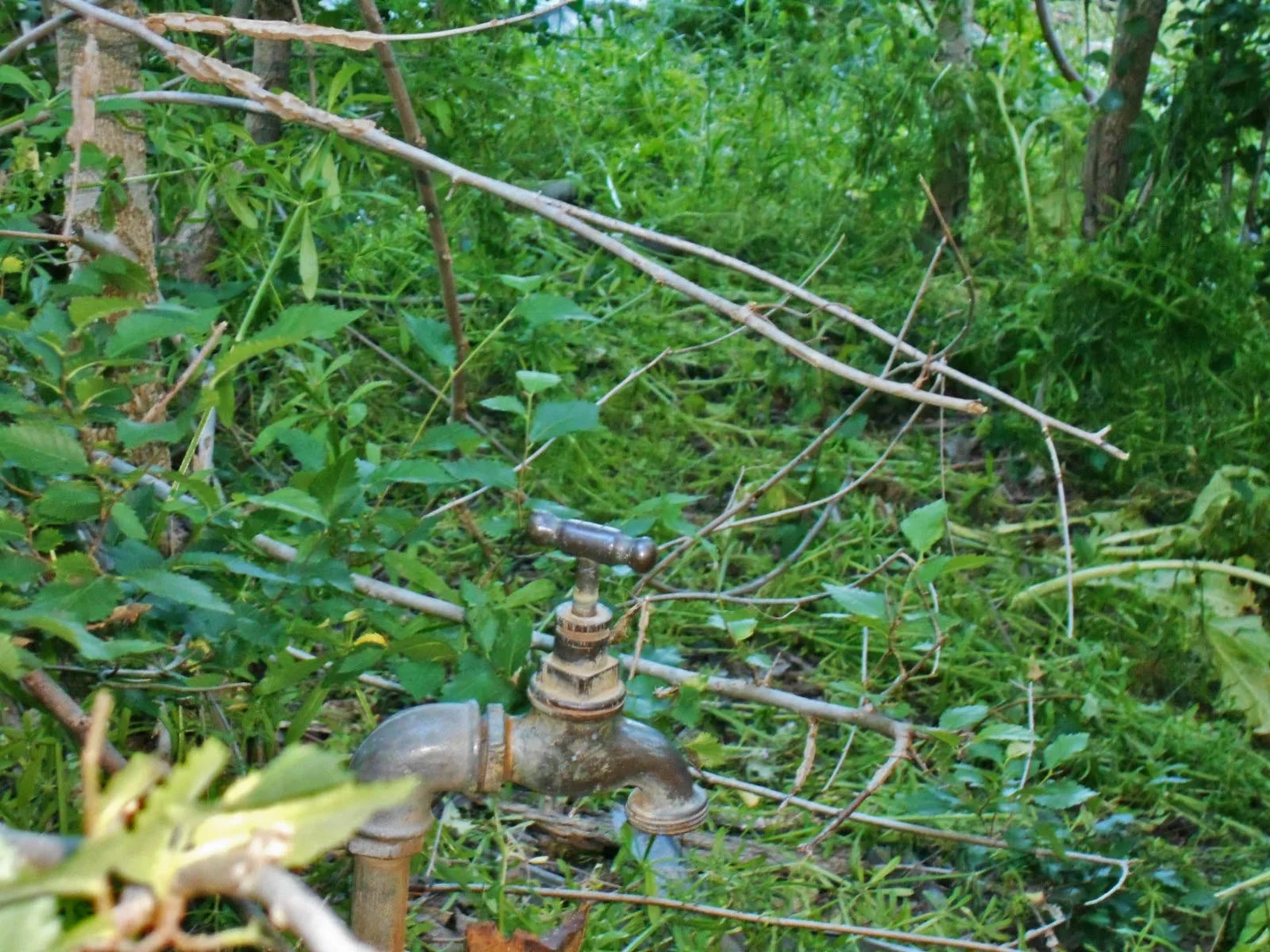 Additional image 12 of 30 Hanley & Moon Street, Gundagai NSW 2722