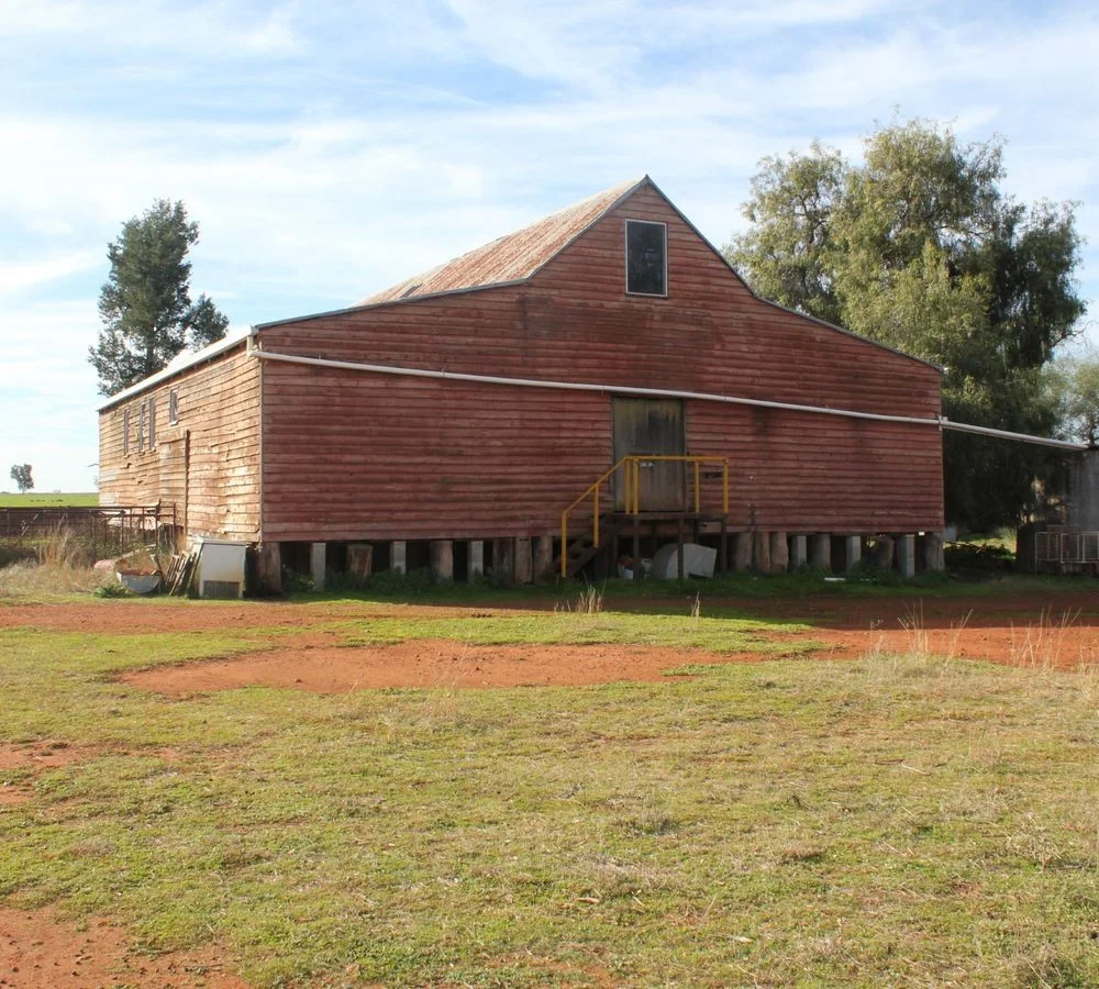 Additional image 19 of 3166 Back Trundle Road, Parkes NSW 2870