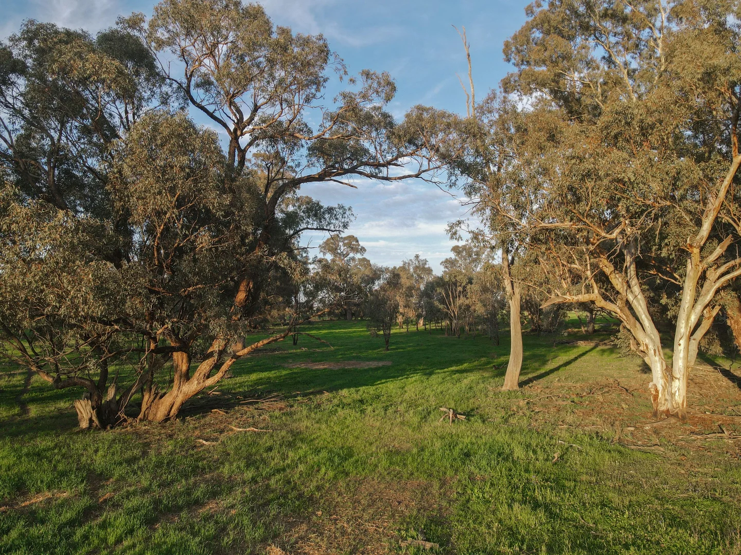 Additional image 11 of 11025 "Lima" The Escort Way, Forbes NSW 2871