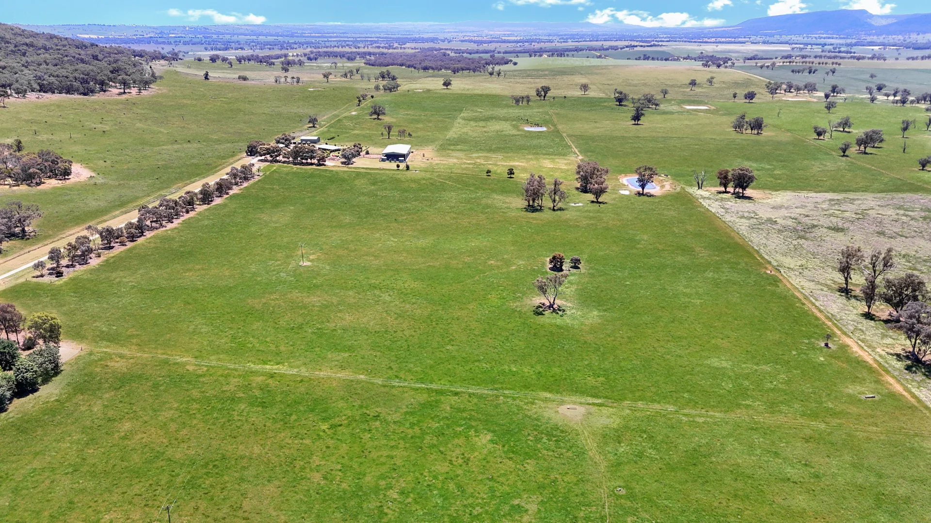 Additional image 28 of 3374 Murringo Road, Young NSW 2594