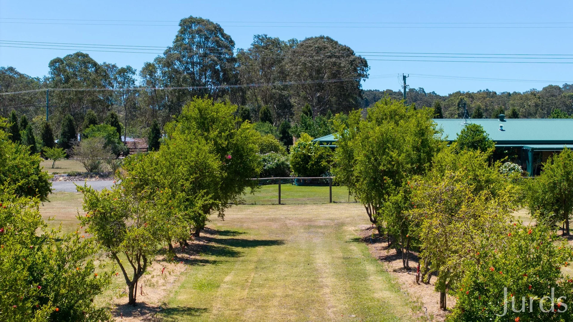 Additional image 44 of 307 Talga Road, Lovedale NSW 2325