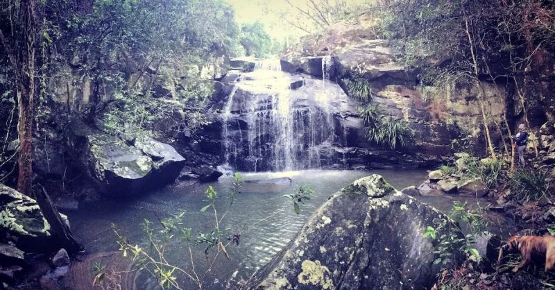 Additional image 2 of Bandon Grove NSW 2420