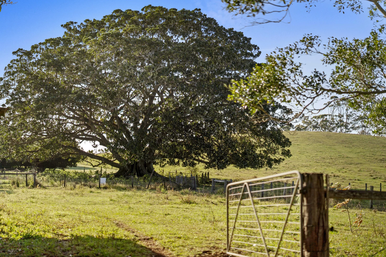 Additional image 28 of 241 Alcorn Road, Knockrow NSW 2479