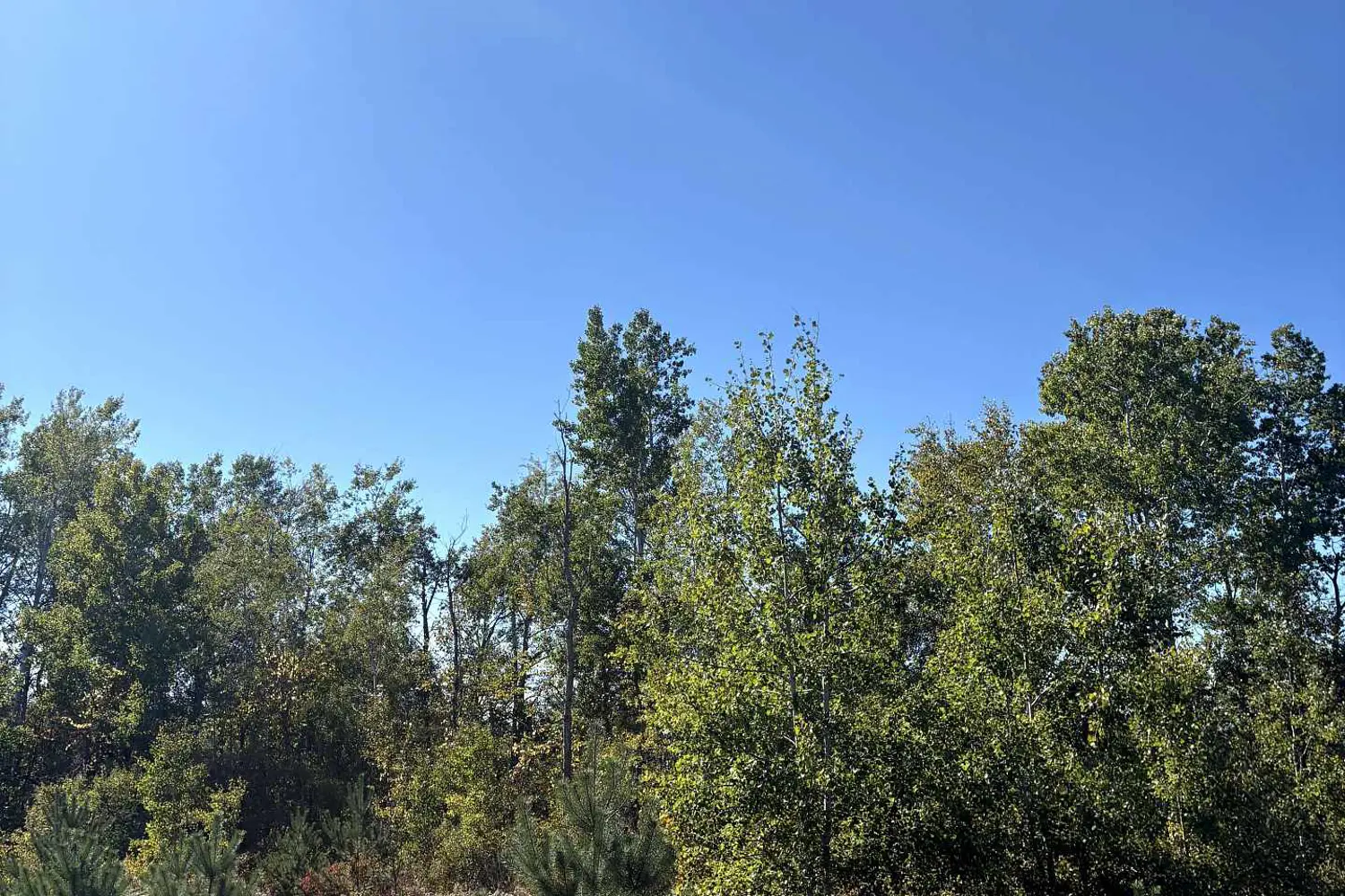 Additional image 10 of 309 Vanderwater Road