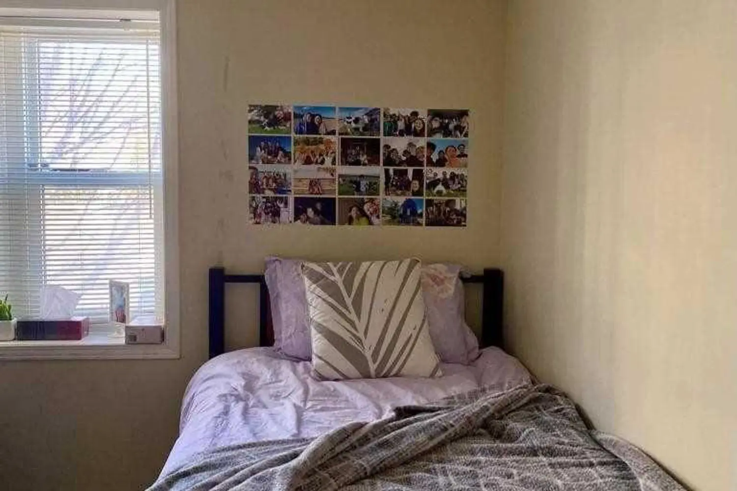 Additional image 8 of 261 Lester Street 101