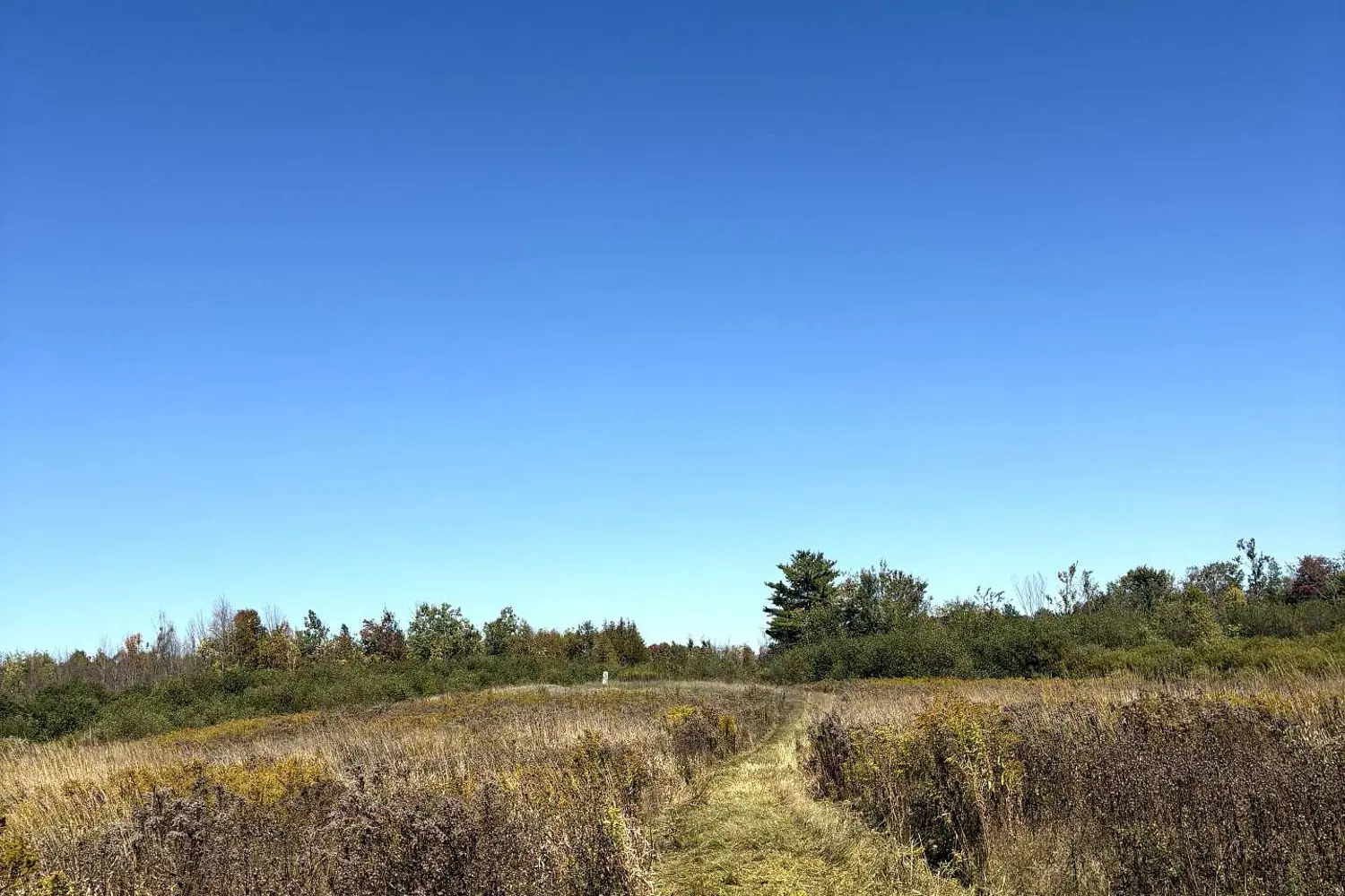 Additional image 7 of 309 Vanderwater Road