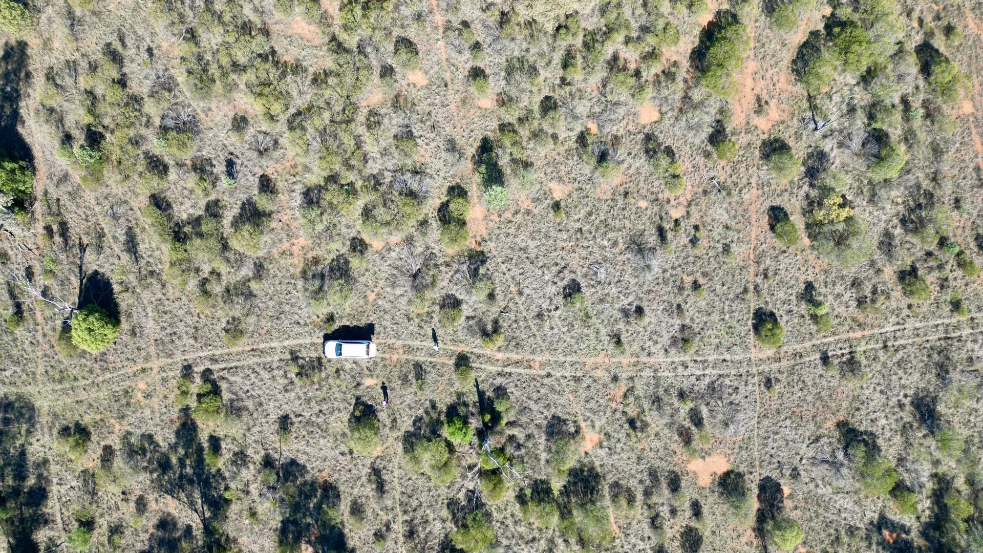 Additional image 12 of 22 Balowra Road, Nymagee NSW 2831
