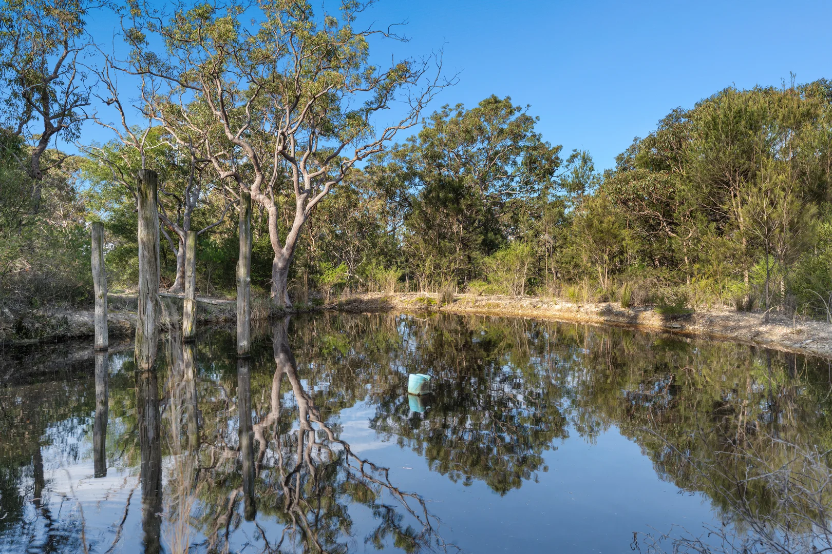 Additional image 24 of 4 Jack Russell Road, Berrilee NSW 2159