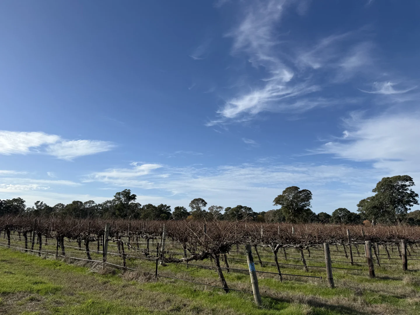 Additional image 9 of Lot 103 Dergholm Road, Penola SA 5277