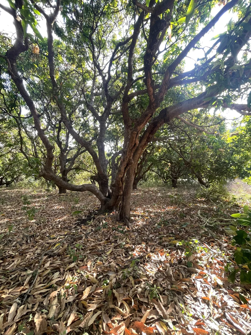 Additional image 28 of 207-217 Wickham Street, Ayr QLD 4807