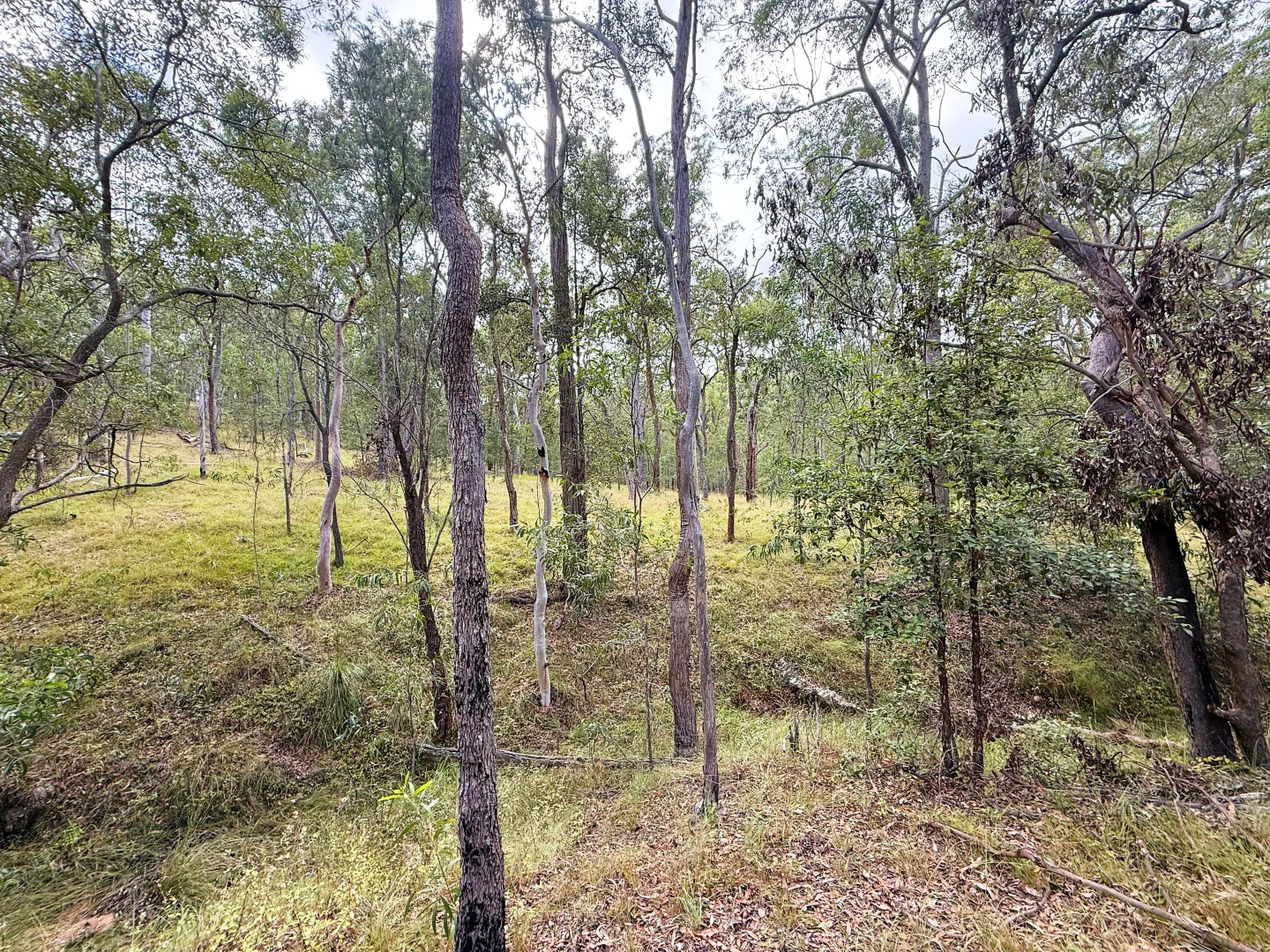 Additional image 12 of Lot 10/931 Nearum Road, Nearum QLD 4671