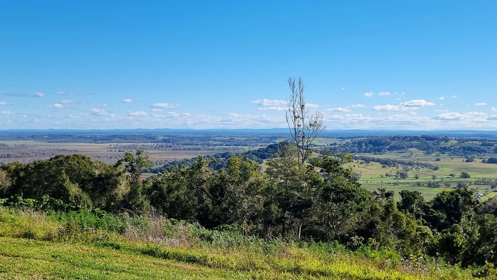 Additional image 24 of Dalwood NSW 2477