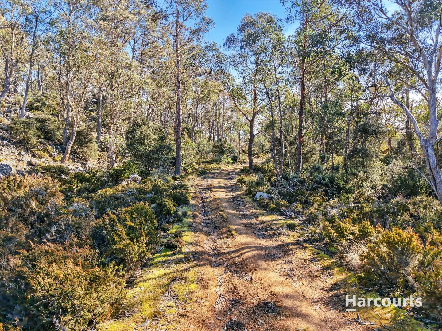 Additional image 19 of Lots 808, 809 & 810 Johnsons Road, Miena TAS 7030