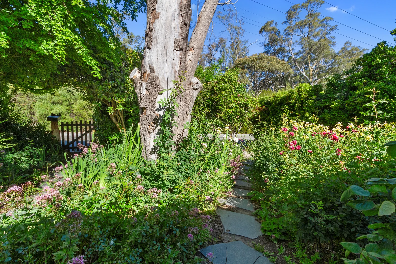 Additional image 4 of 7831 Horrocks Highway, Penwortham SA 5453