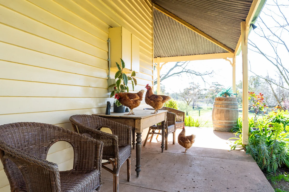 Additional image 10 of 108 Delaneys Lane, Hansonville VIC 3675